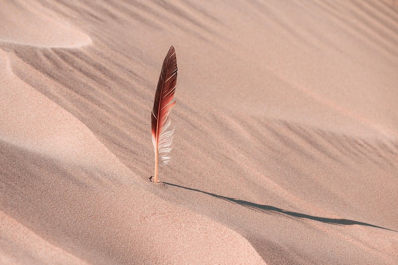 Great Sand Dunes National Park